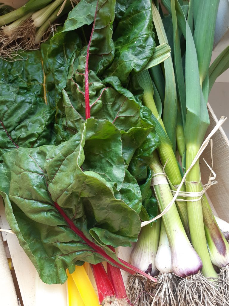 Ouverture légume bio