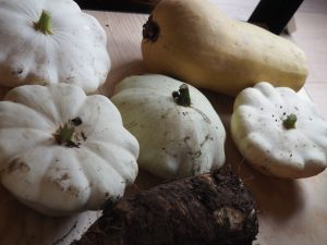 Les bonnes courges