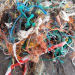 déchet du world cleanup day