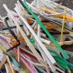 déchet du world clean up day