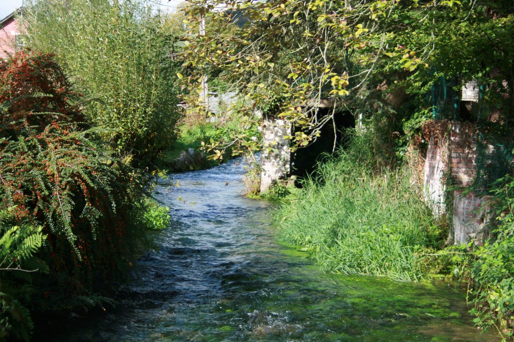 Sébastien apiculteur