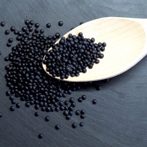 Lentille Beluga Gumi Graines