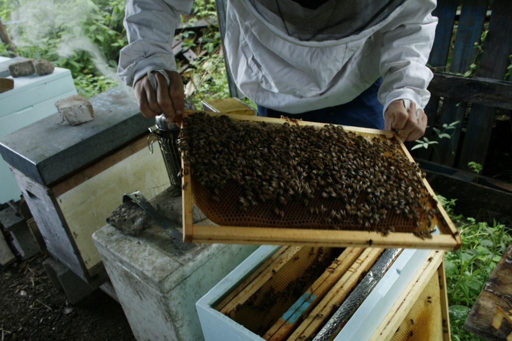 Sebastien, les abeilles et leur miel