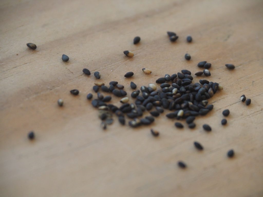 nouveautés de novembre : les graines de sésames