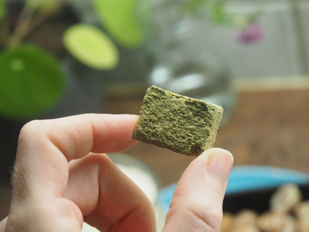 cube de bouillon