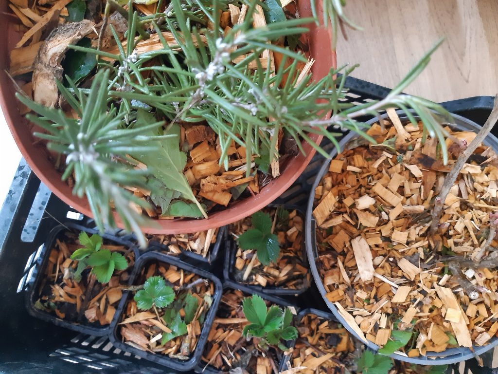 les nouveautés de Mar au Bon Endroit