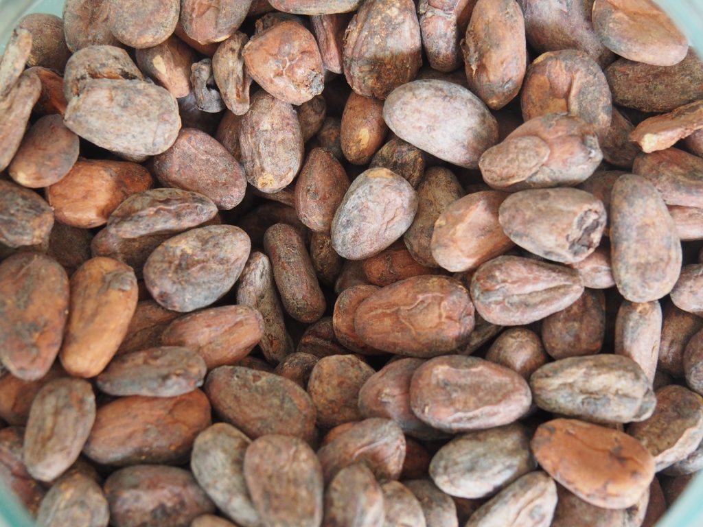 les fèves de cacao Towt