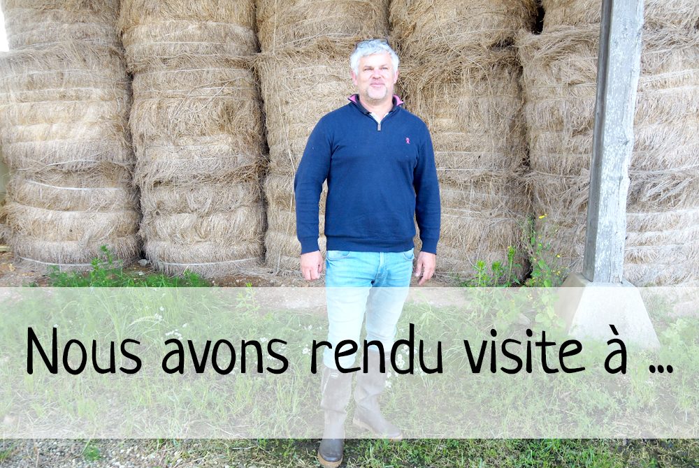 Laurent Gumi Graines