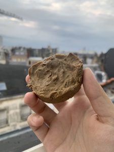 Shampoing maison cosmétique