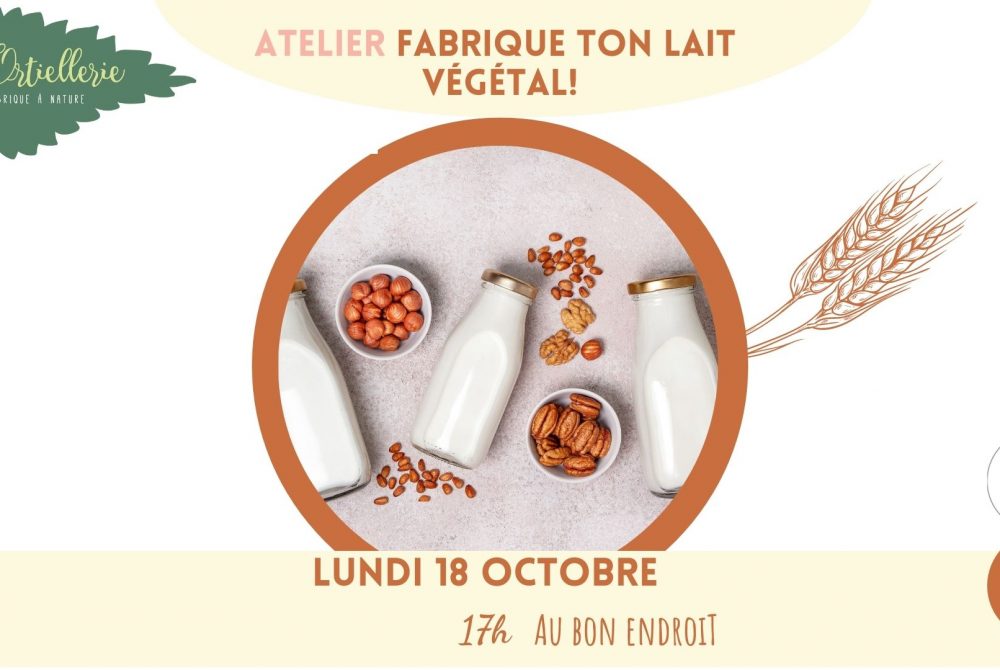 fabrique ton lait végétal