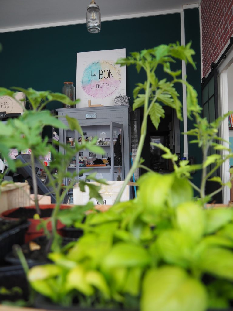 les plants