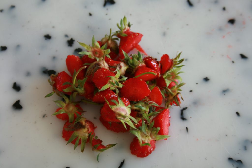 Sirop de queues de fraises • Leslie en Cuisine