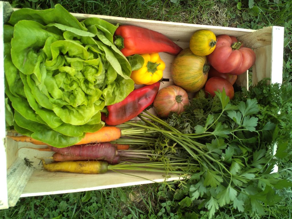 Jardin de la Bise Le Havre