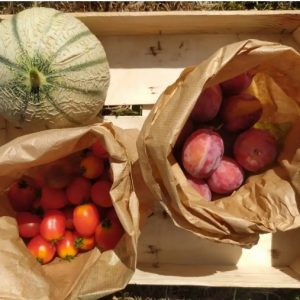 Panier bio été 2026