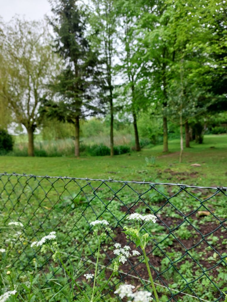 Armelle maraichère Trois Pierres