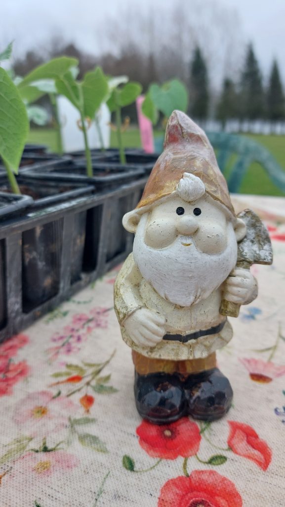 Troc de graines Les trois pierres