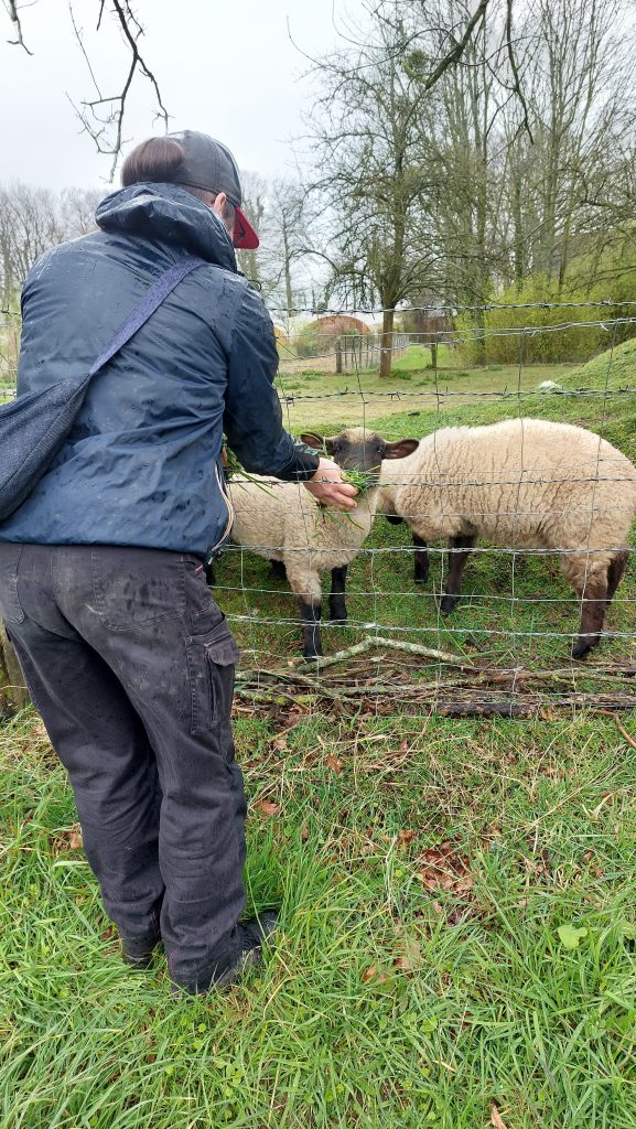 Armelle maraichère 76430