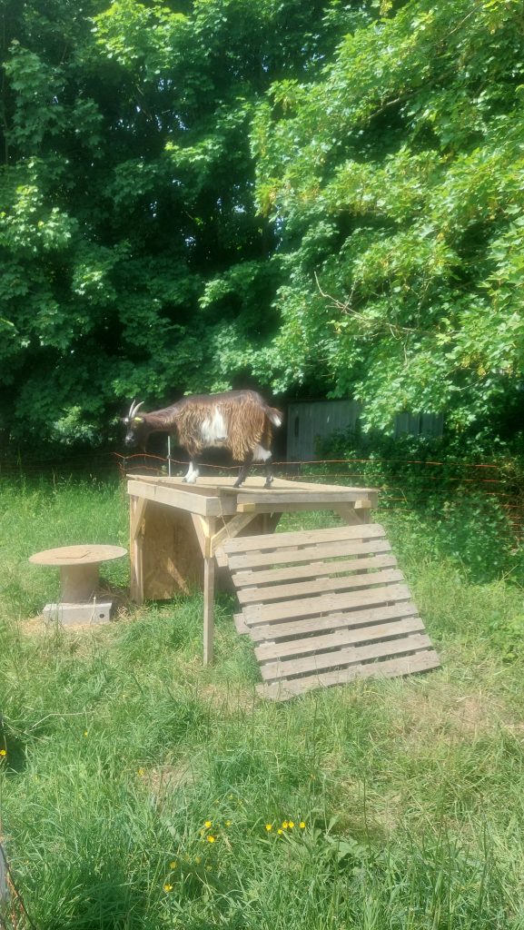 Morainville Jouveaux Les Heirbes Libres