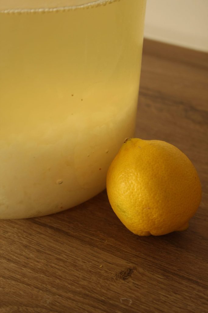 La Bonne Recette de kéfir